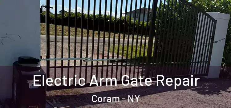 Electric Arm Gate Repair Coram - NY