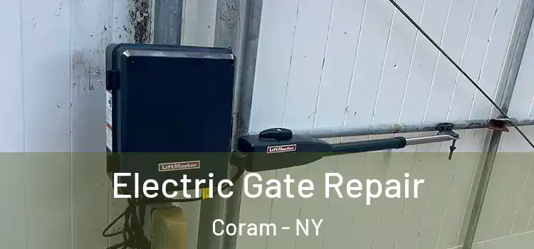 Electric Gate Repair Coram - NY