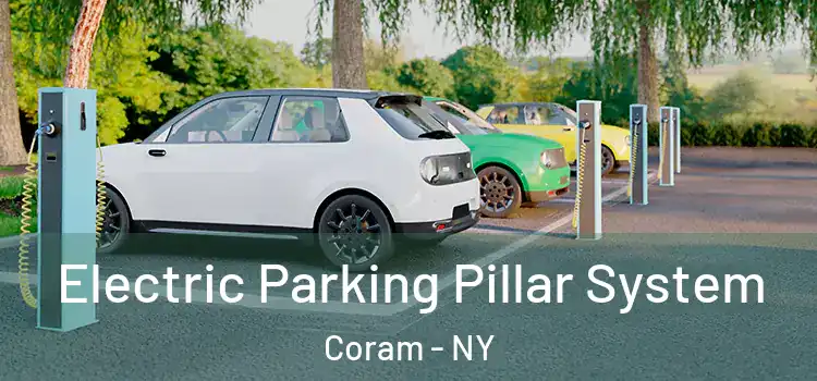Electric Parking Pillar System Coram - NY