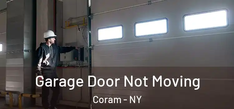  Garage Door Not Moving Coram - NY
