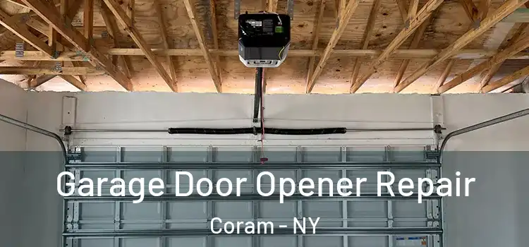  Garage Door Opener Repair Coram - NY