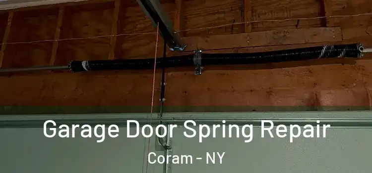 Garage Door Spring Repair Coram - NY