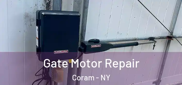  Gate Motor Repair Coram - NY