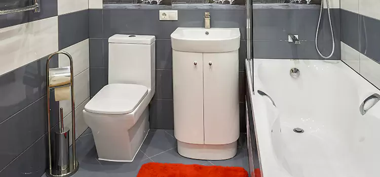 Hansgrohe Shaving Mirror Coram