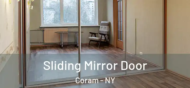 Sliding Mirror Door Coram - NY